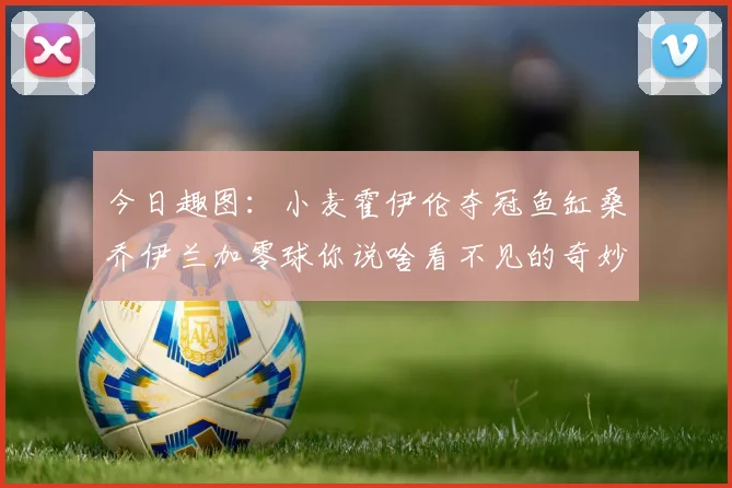 今日趣图：小麦霍伊伦夺冠鱼缸桑乔伊兰加零球你说啥看不见的奇妙瞬间