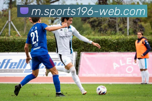 196体育品牌故事