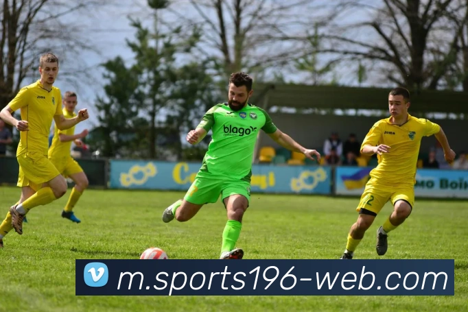 196体育服务体系