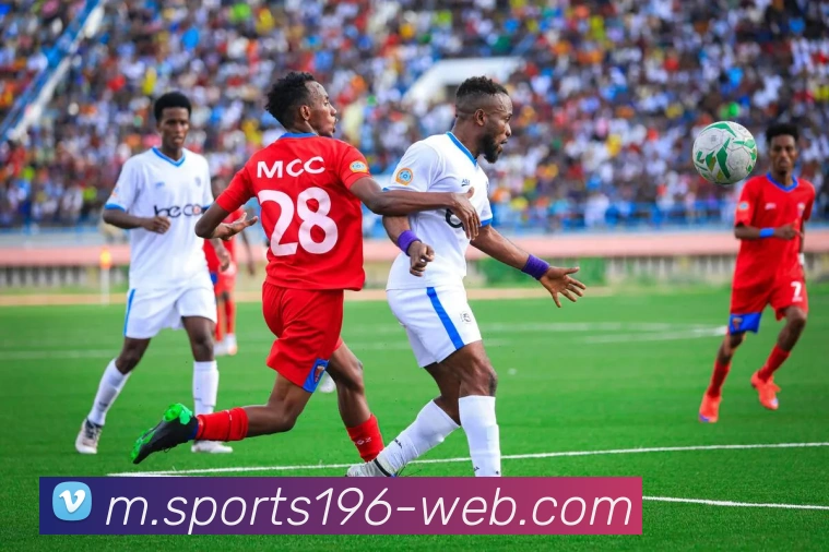奖项证书